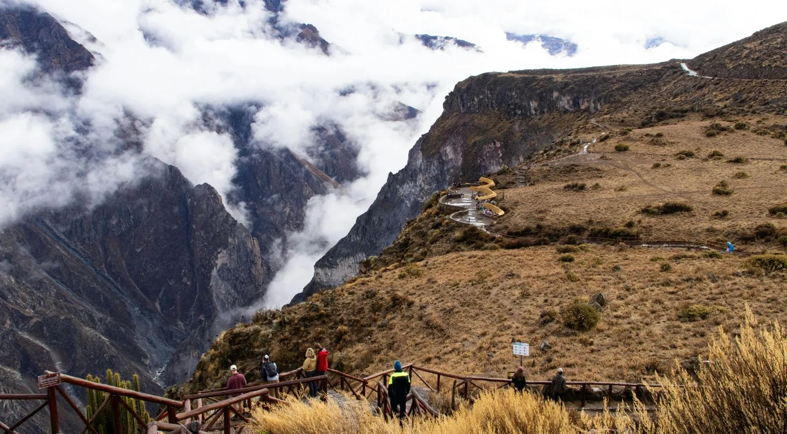 Golden grass and a walking path beside cloud-covered canyon cliffs