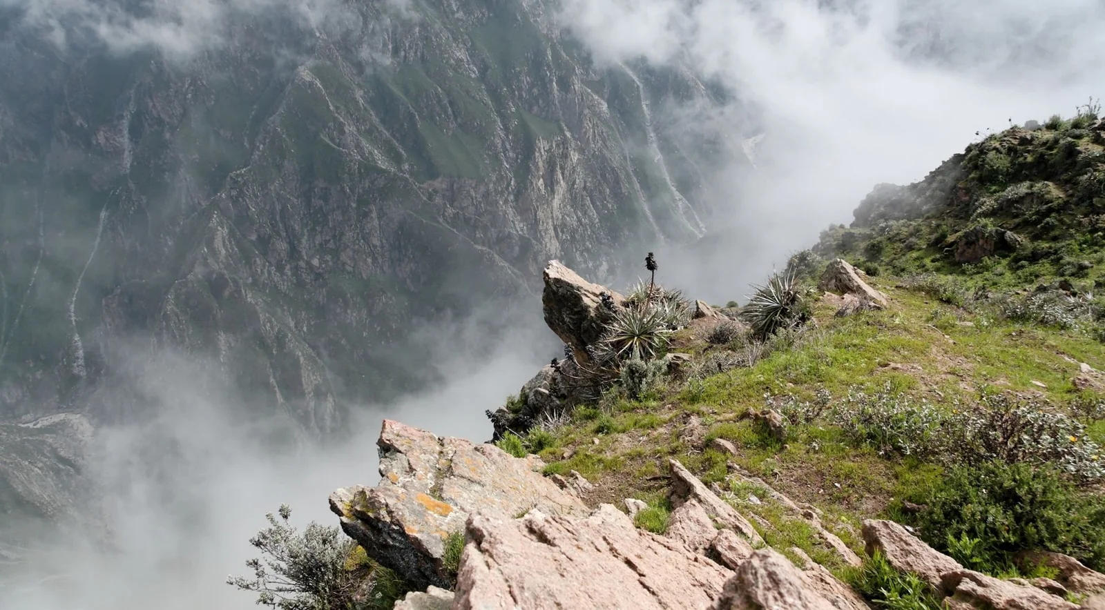 Rocky hillside trail beside mist-filled canyon walls
