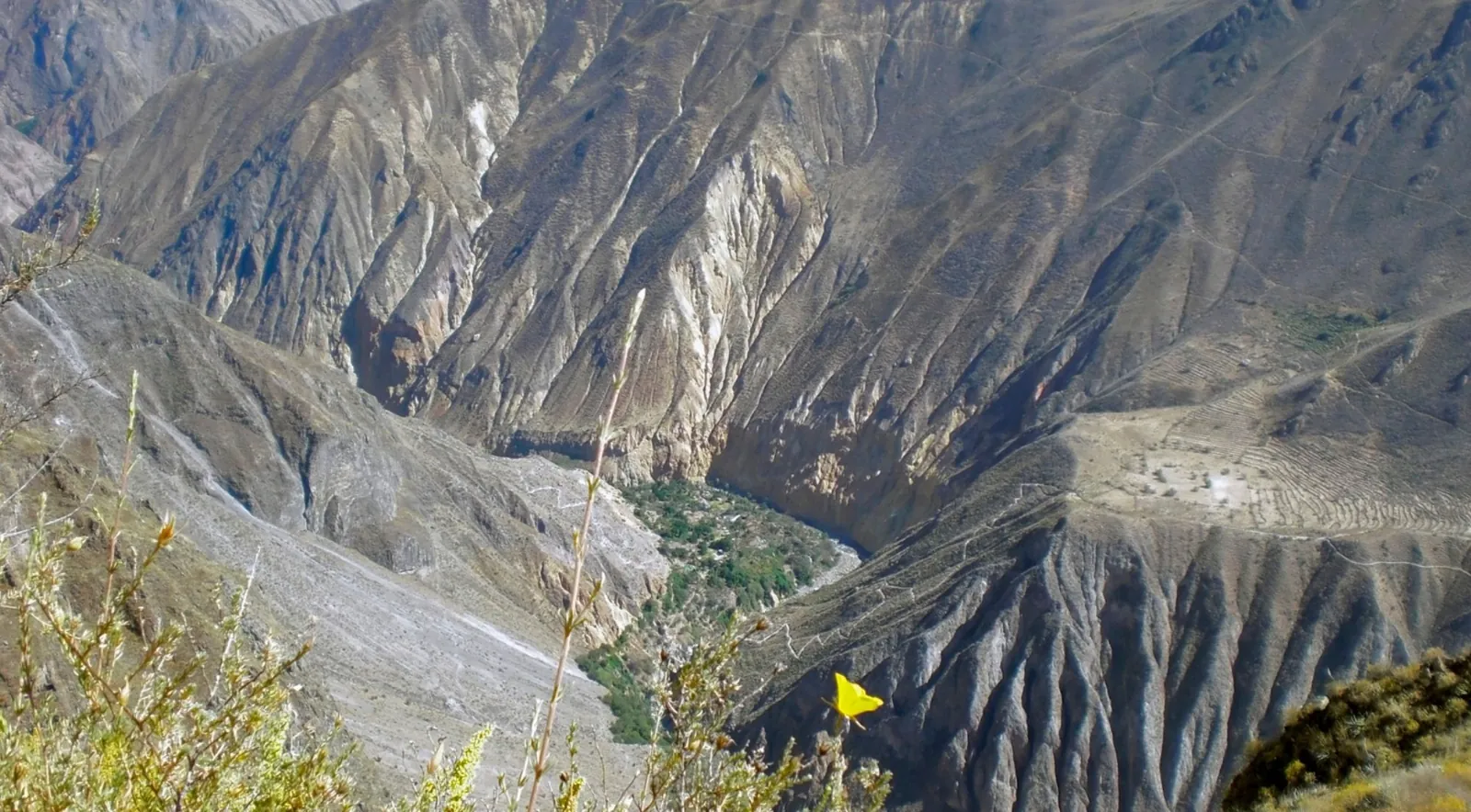 River winding between steep canyon walls