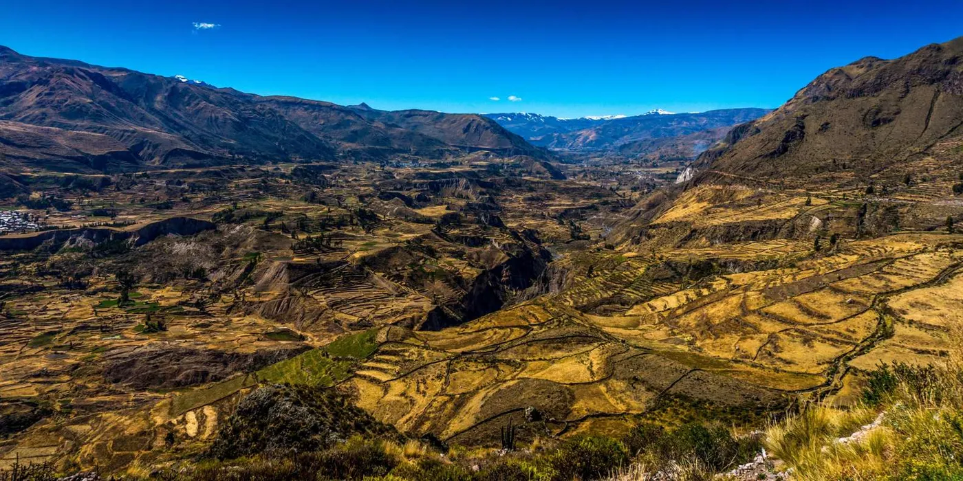 Terraced valley landscape