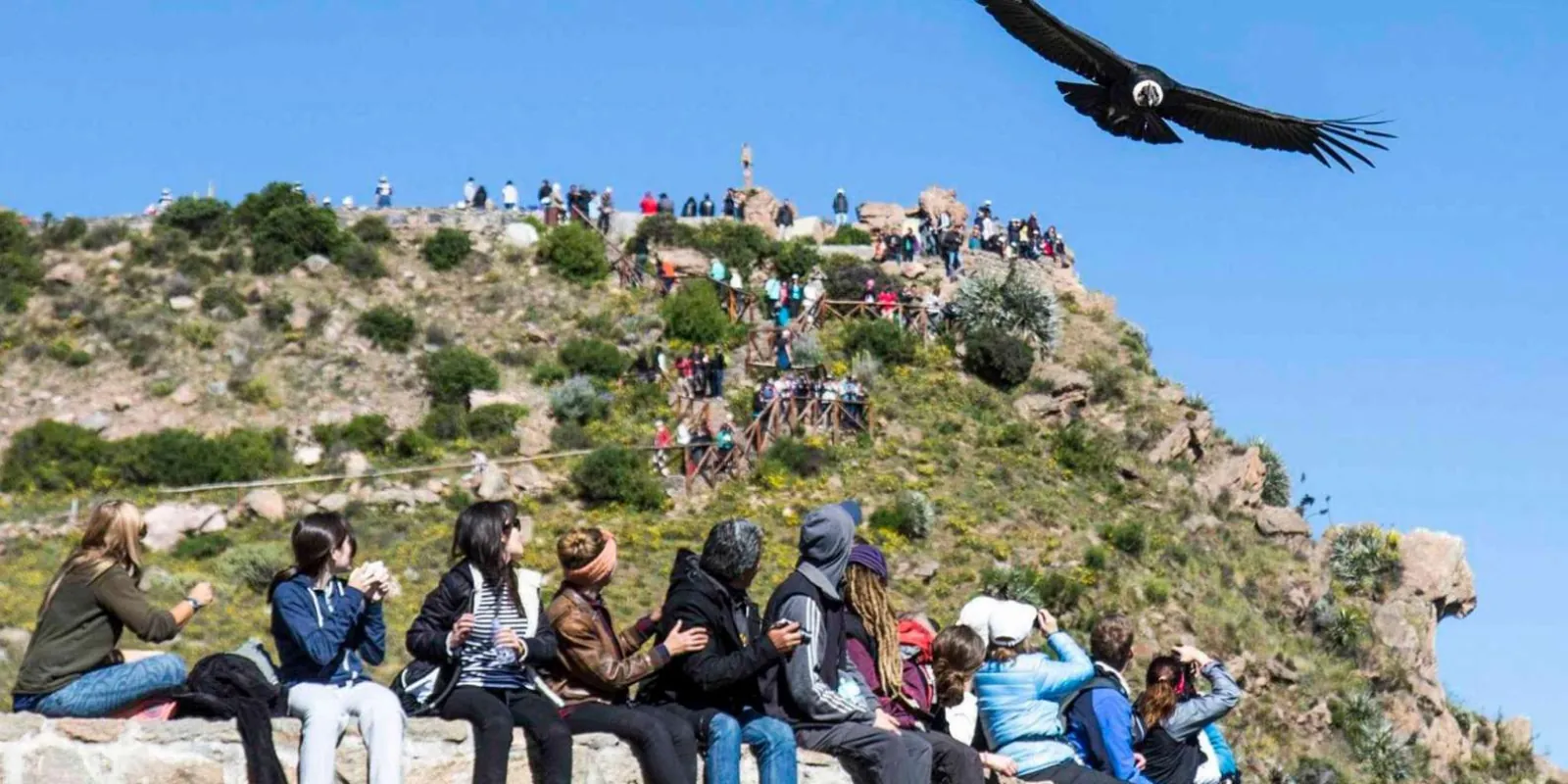 From Arequipa: 2-day Colca Canyon Trekking Tour