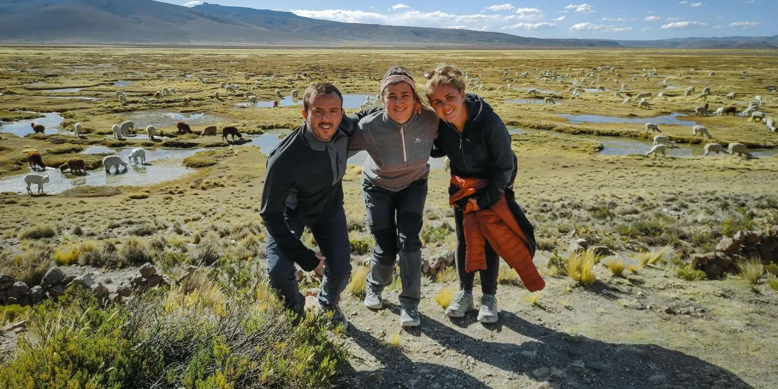 Visitors on the Andean highland road