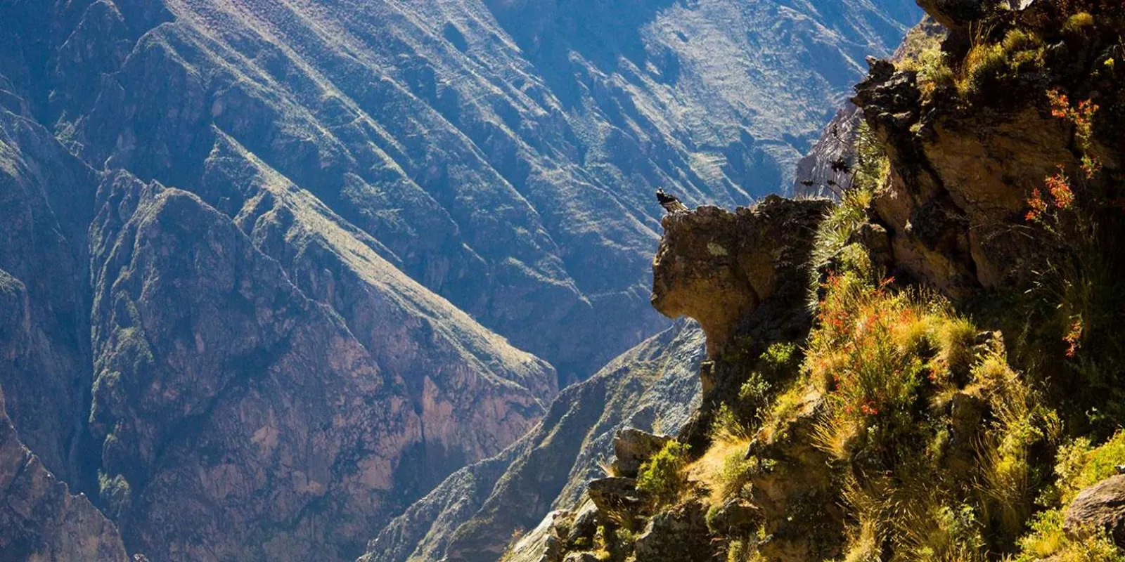 Steep walls of Colca Canyon