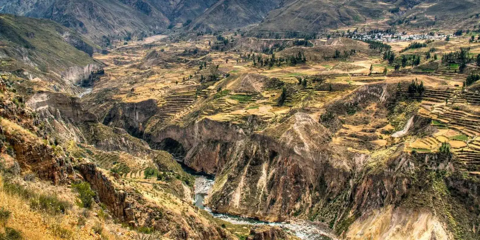 Agricultural terraces in the Colca Valley