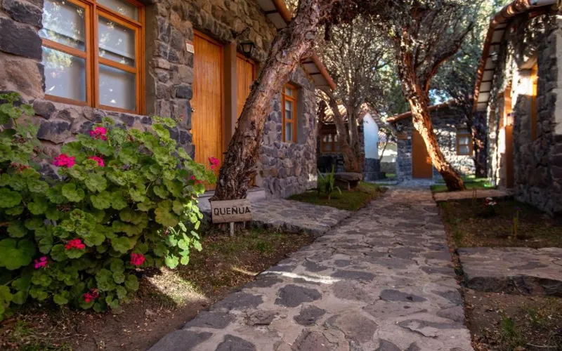 a stone walkway in front of a building with pink flowers at Casa Andina Standard Colca in Chivay