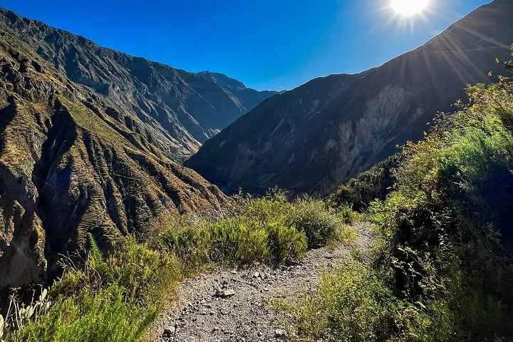 Green canyon trail