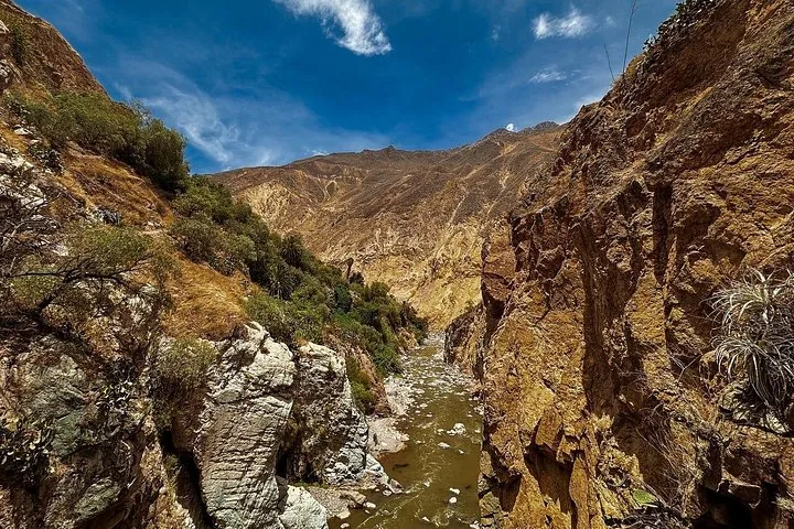 Hiking trail through dry canyon vegetation
